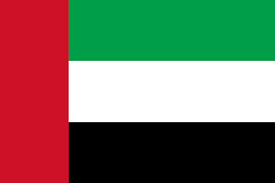 UAE flag logo