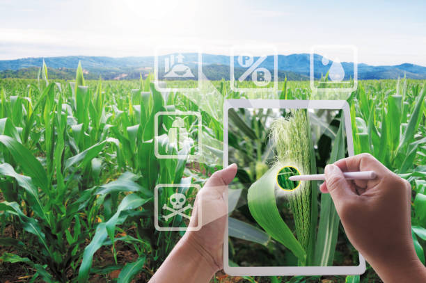 Illuminating Possibilities: The Vast Applications of Image Analytics