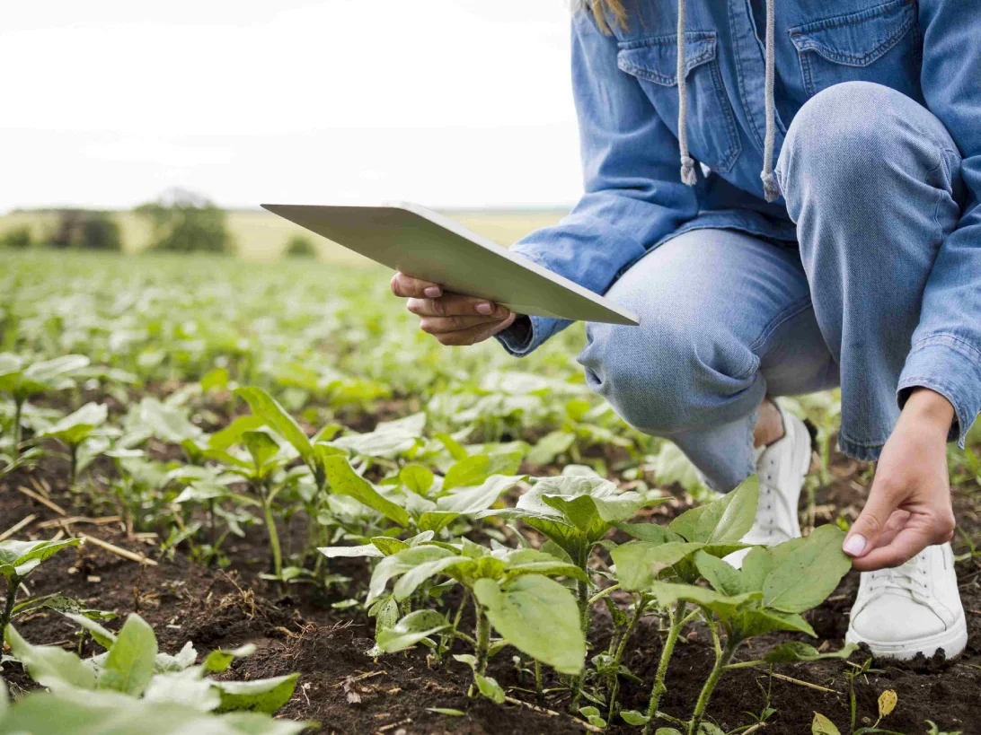 Intelligent irrigation management system
