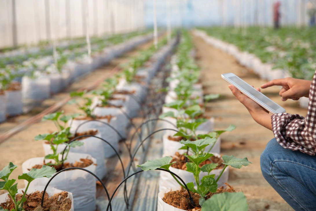 Smart crop monitoring with IoT sensors