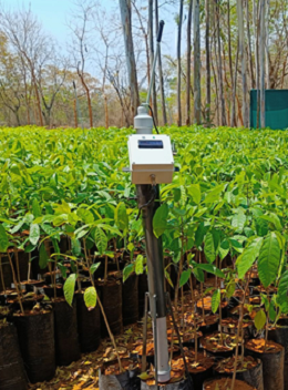 SunBio Standalone Soil pH Sensor Unit