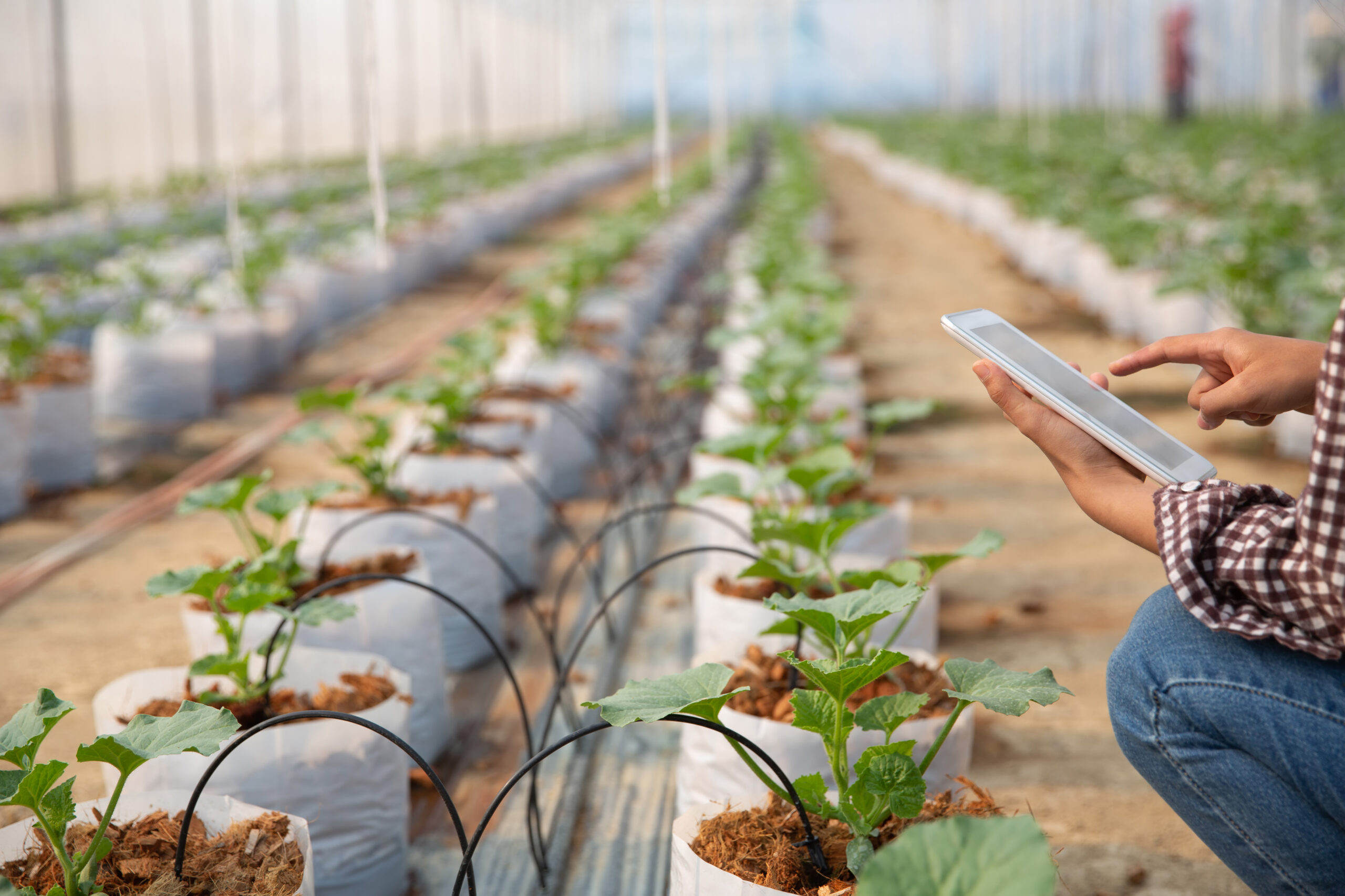 Smart NPK Sensor readings